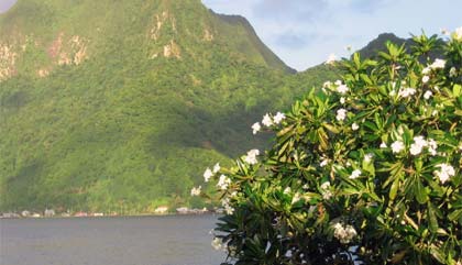 The beautiful Samoan coastline