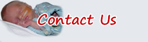 contact the STABLE Program