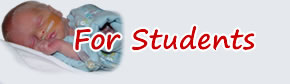 Stable Program Lead Instructors